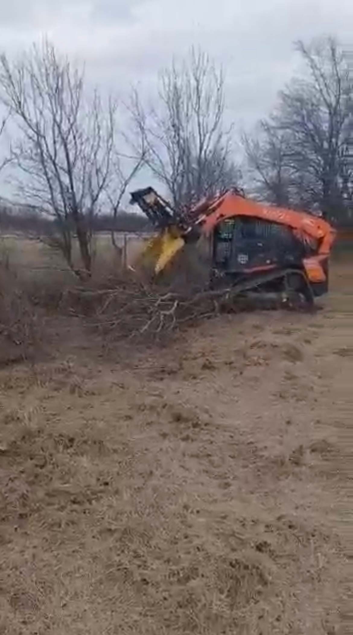 tree removal quotes near me