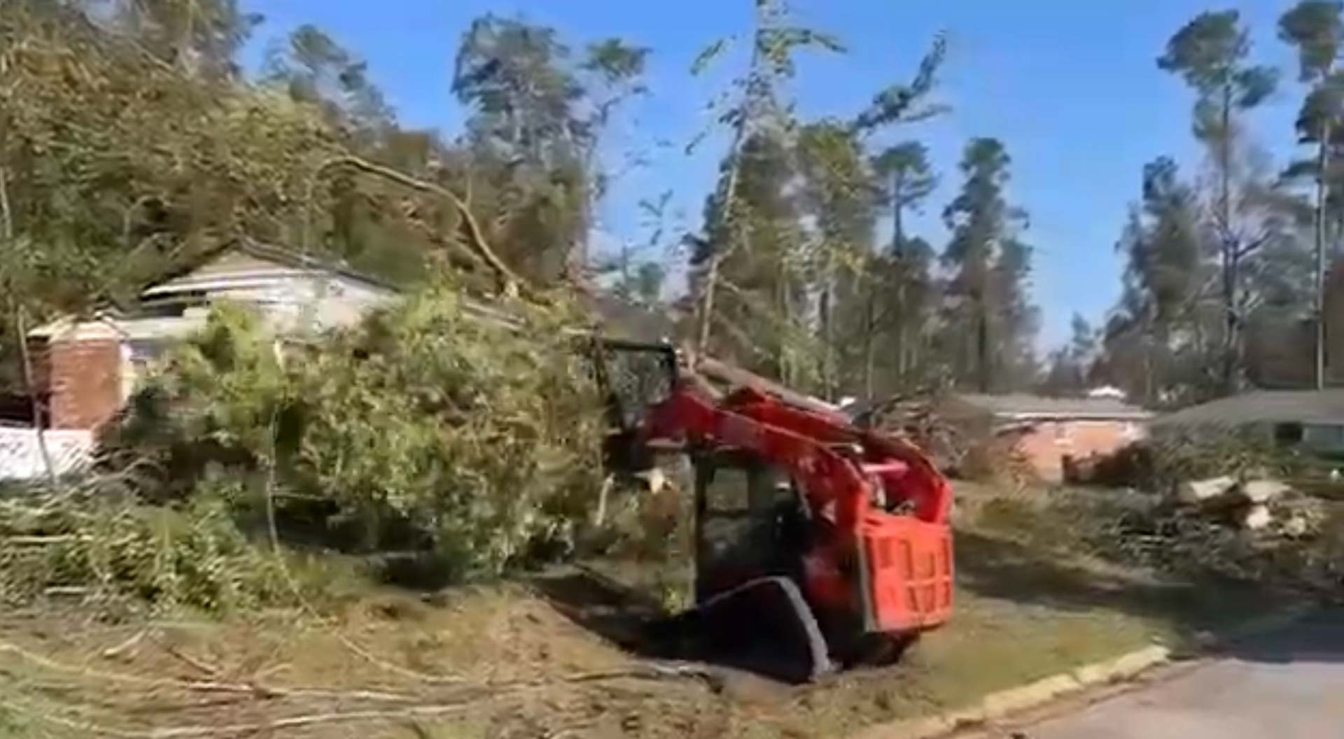 best tree removal service near me